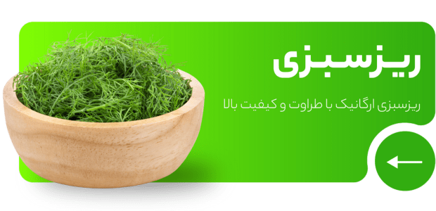 ریز سبزی