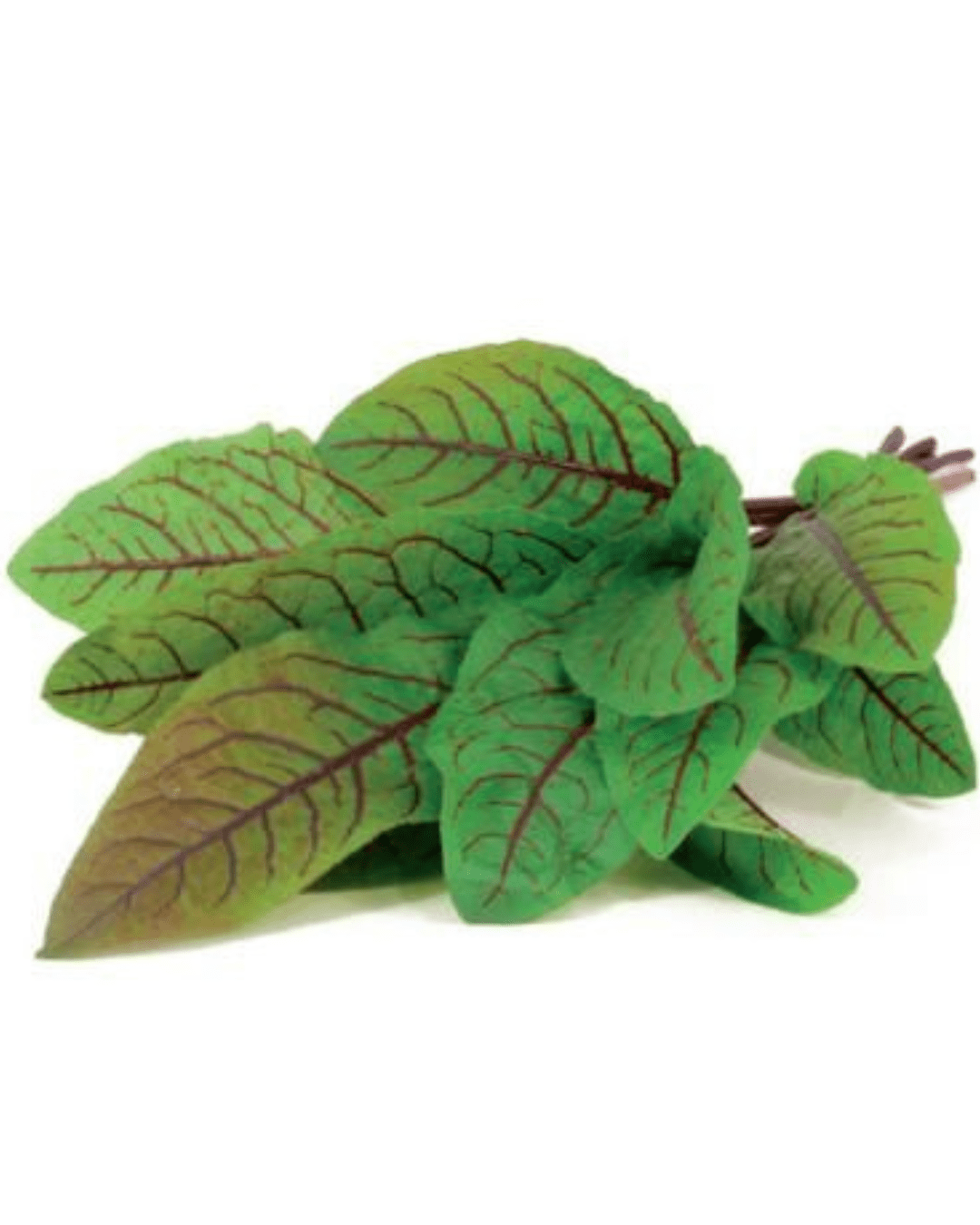 Untitled design_20250717_120112_0000-min