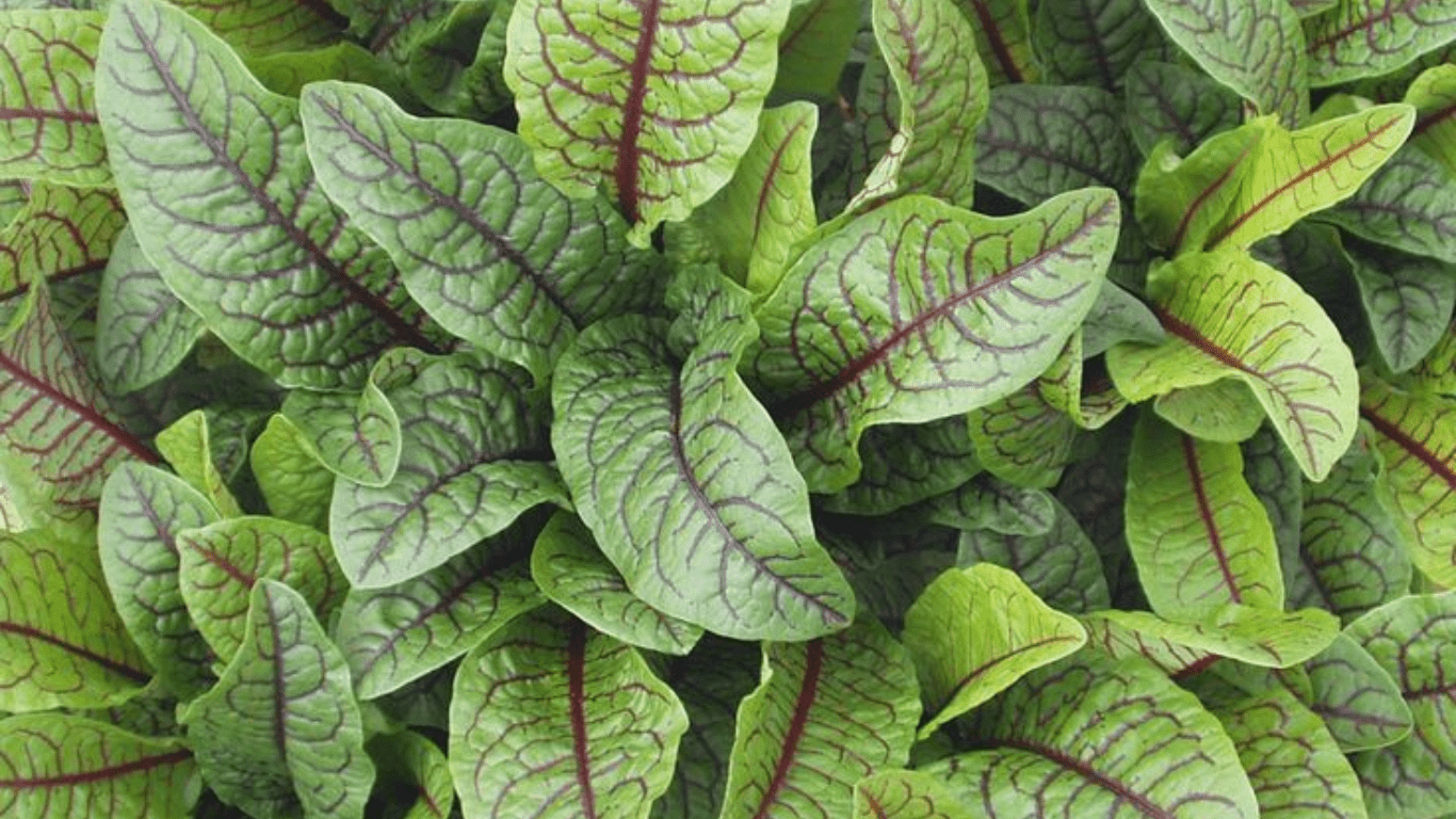 Untitled design_20250717_120246_0000-min