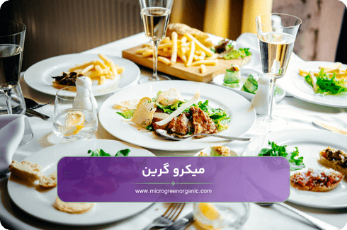 مزایای خرید سبزیجات رستورانی با کیفیت