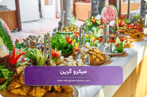 در خرید سبزیجات رستورانی به چه استاندارد هایی باید توجه کرد
